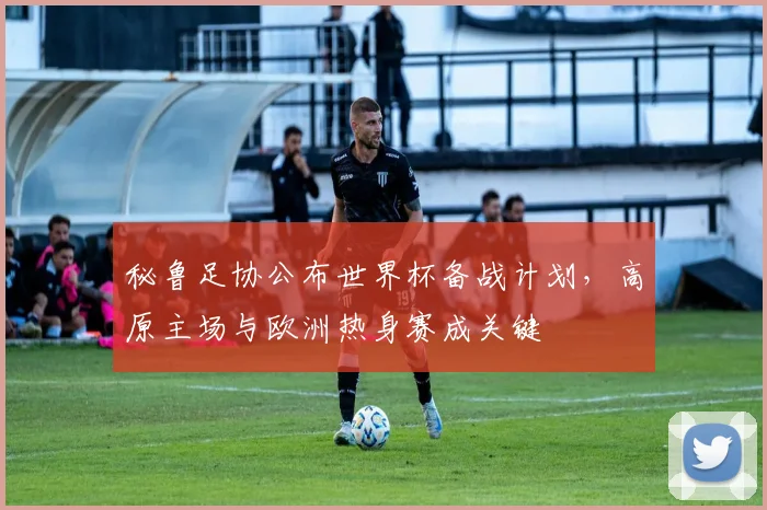 秘鲁足协公布世界杯备战计划，高原主场与欧洲热身赛成关键