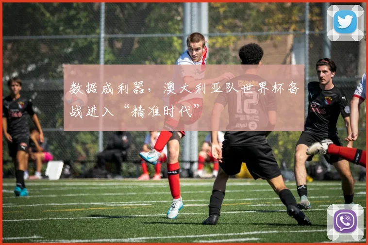 数据成利器，澳大利亚队世界杯备战进入“精准时代”