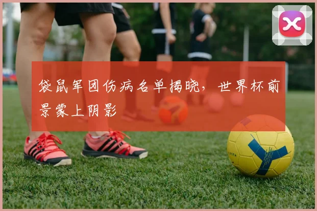 袋鼠军团伤病名单揭晓，世界杯前景蒙上阴影