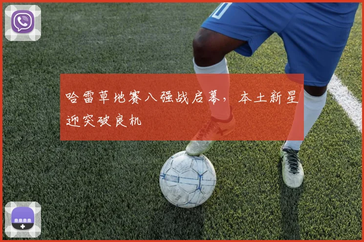 哈雷草地赛八强战启幕，本土新星迎突破良机